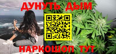 сатива Славгород