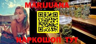 сатива Славгород