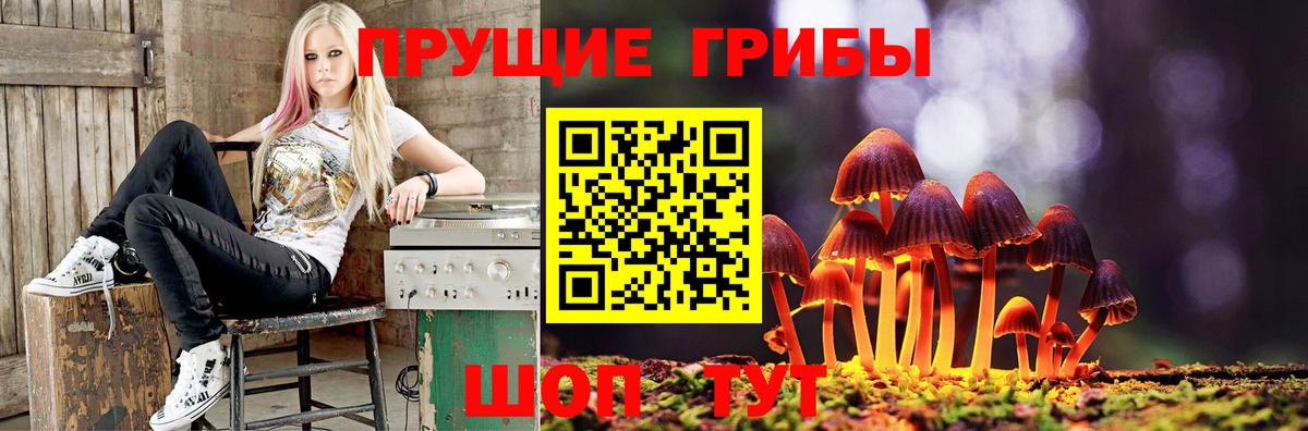 Галлюциногенные грибы GOLDEN TEACHER  Вход с VPN  Подольск 