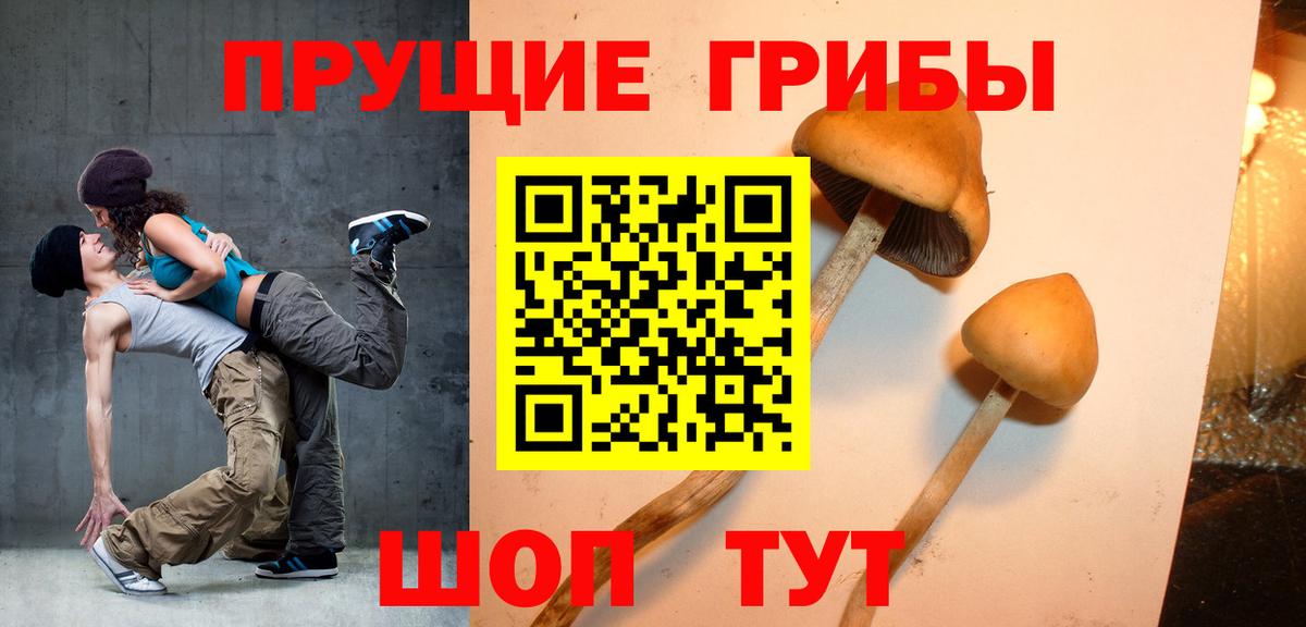 Галлюциногенные грибы Magic Shrooms Подольск